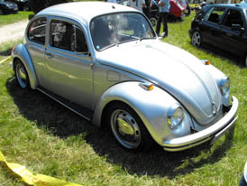 silverbug