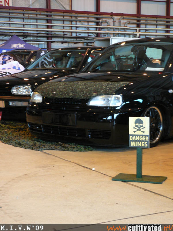 mivw09_118