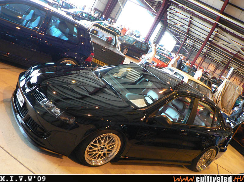 mivw09_133