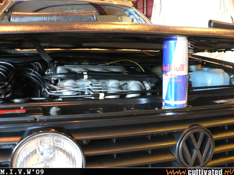 mivw09_148