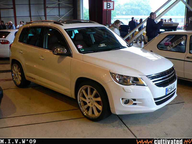 mivw09_165