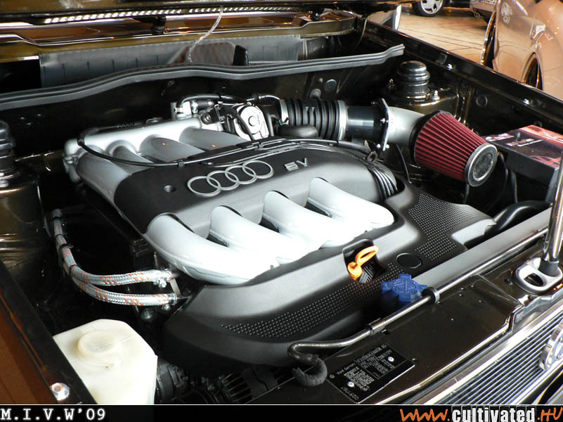 mivw09_197