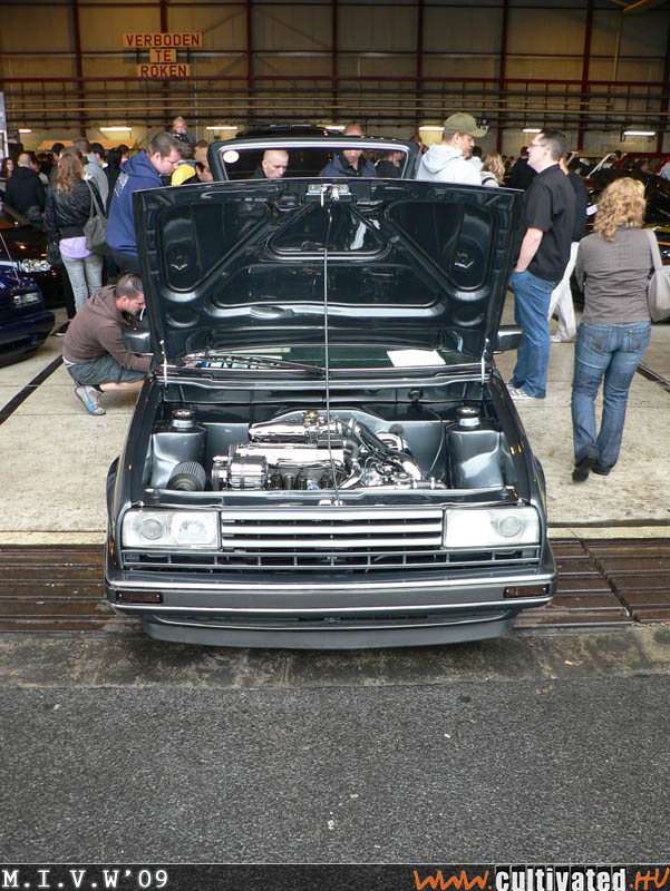 mivw09_254