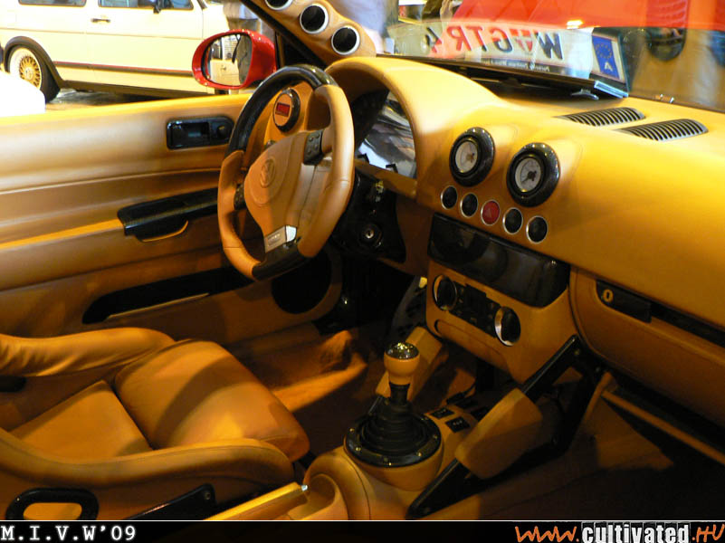 mivw09_267