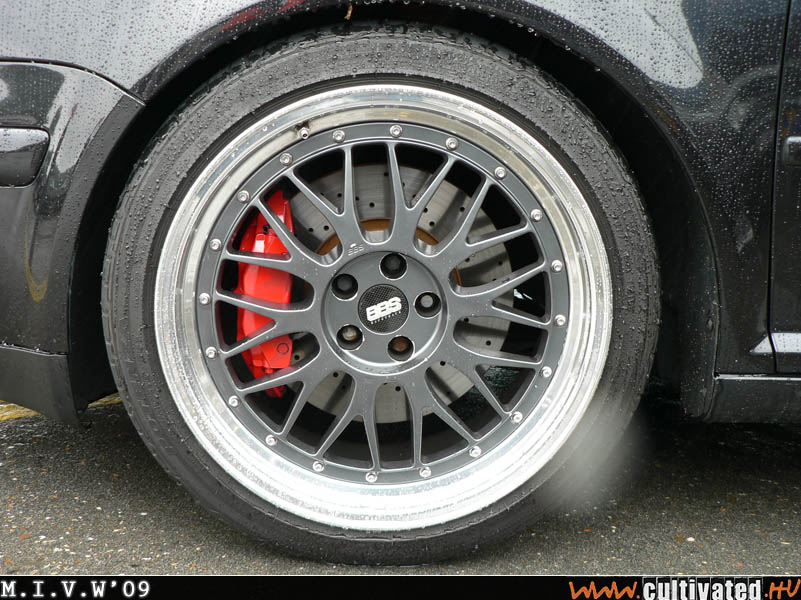 mivw09_295