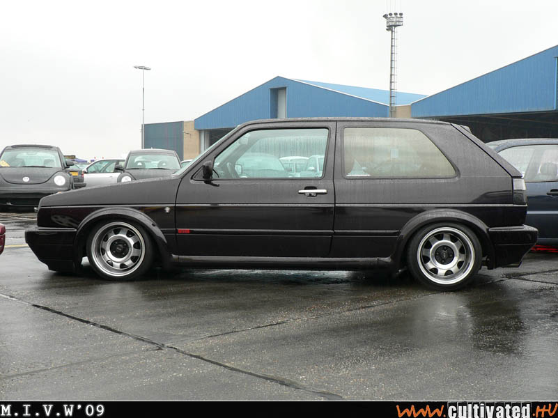 mivw09_313