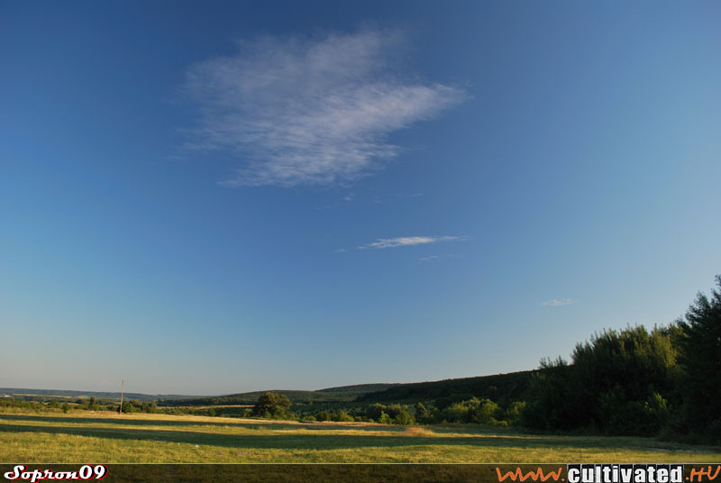 DSC_0918