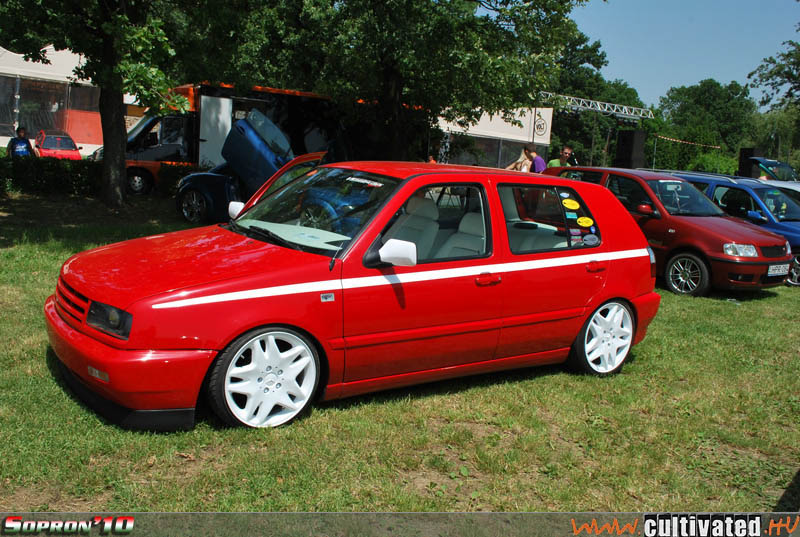 DSC_2178_1